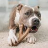 Benebone Wishbone Durable Dog Chew Toy for Aggressive Chewers, Real Bacon - Image 6