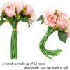 Home Bridal Wedding Party Festival Décor (2 Packs Champagne and Pink) - Image 2