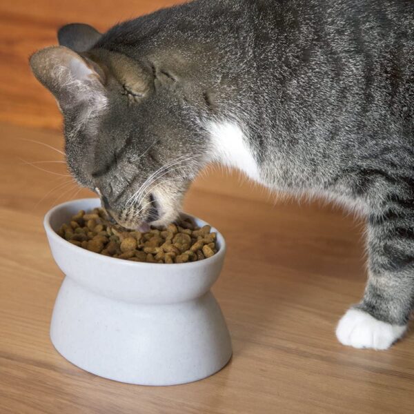 Kitty City Raised Cat Food Bowl Collection Stress Free Pet Feeder & Water - Image 4