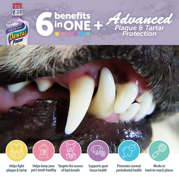 Dental Fresh Advanced Plaque and Tartar Water Additive, Dog Teeth Cleaning Formula - Image 2