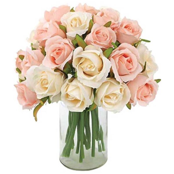 Home Bridal Wedding Party Festival Décor (2 Packs Champagne and Pink)